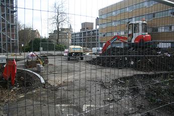 The first signs of the garden's shape are revealed!